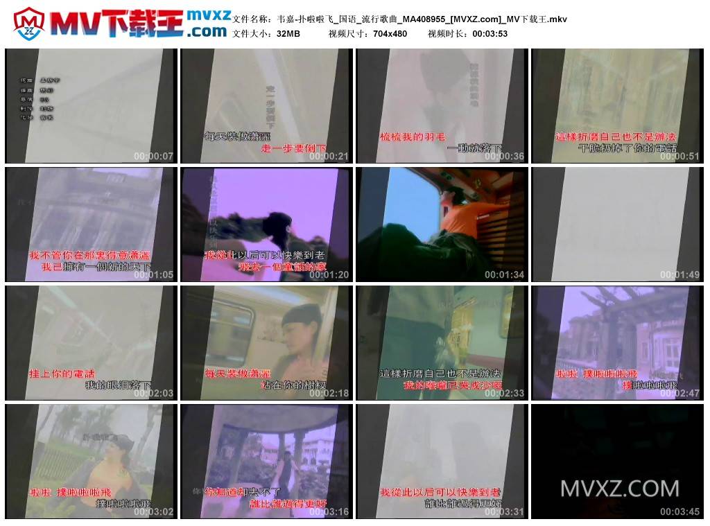 韦嘉-扑啦啦飞_国语_流行歌曲_MA408955